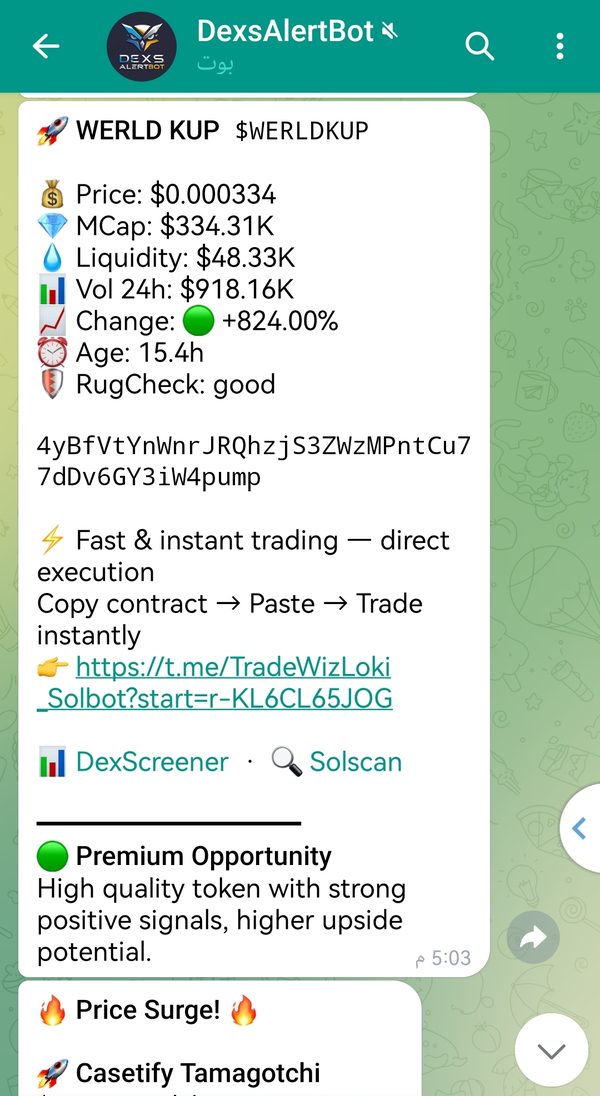 Example DexsAlertBot token alert with price, market cap, liquidity and RugCheck data
