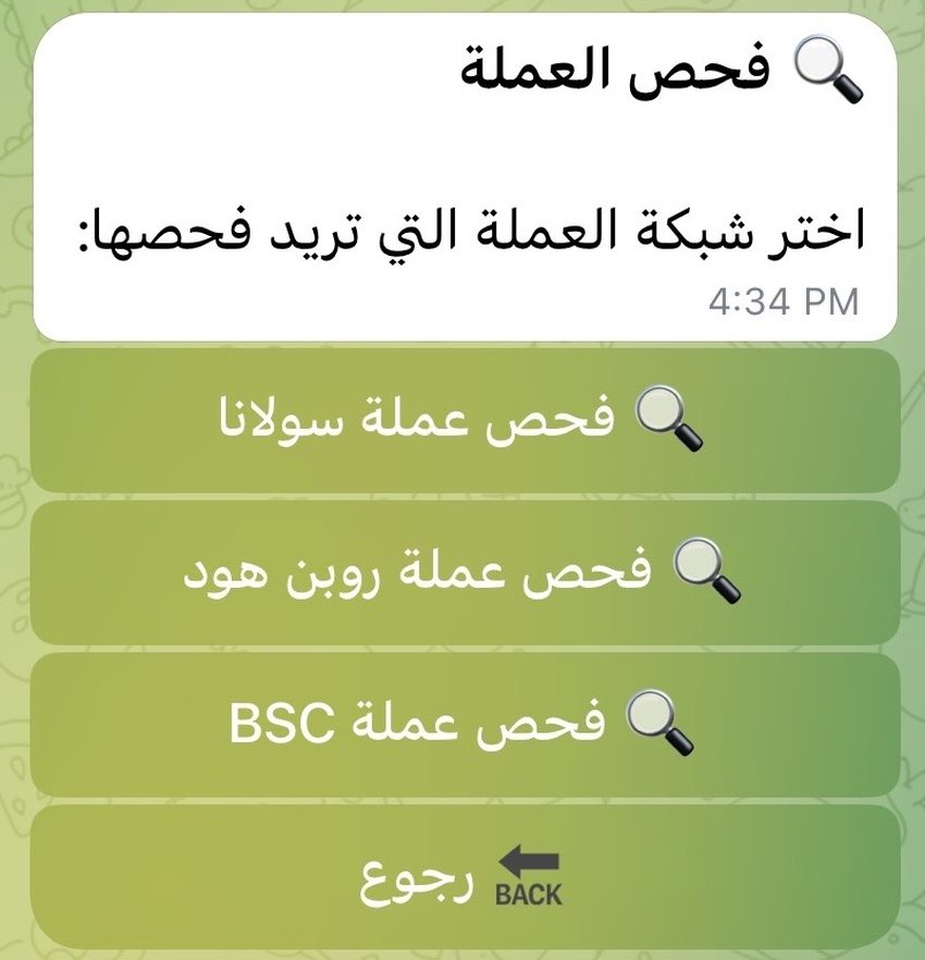 شاشة اختيار الشبكة في فحص العملة مع خيار شبكة BNB (BSC)